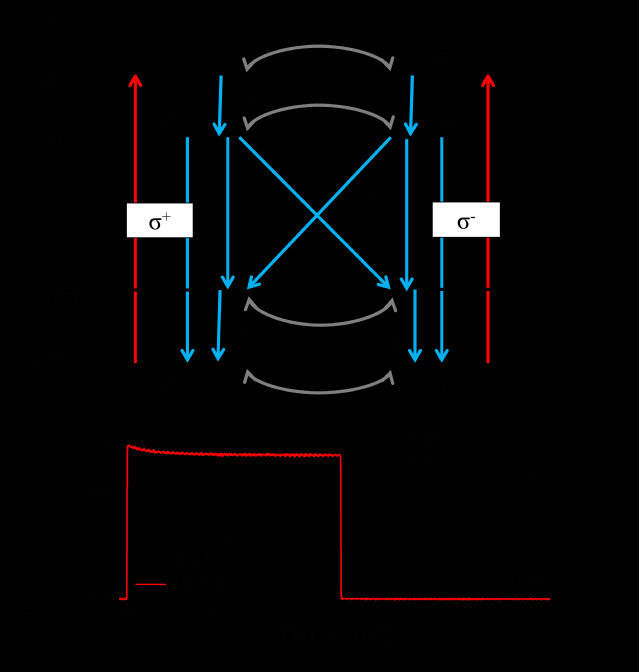 YAG晶体中掺Ce3+离子的4f与5d态电子与原子核自旋
