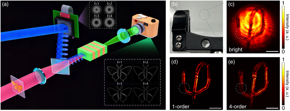 中红外高阶非线性拓扑微分器