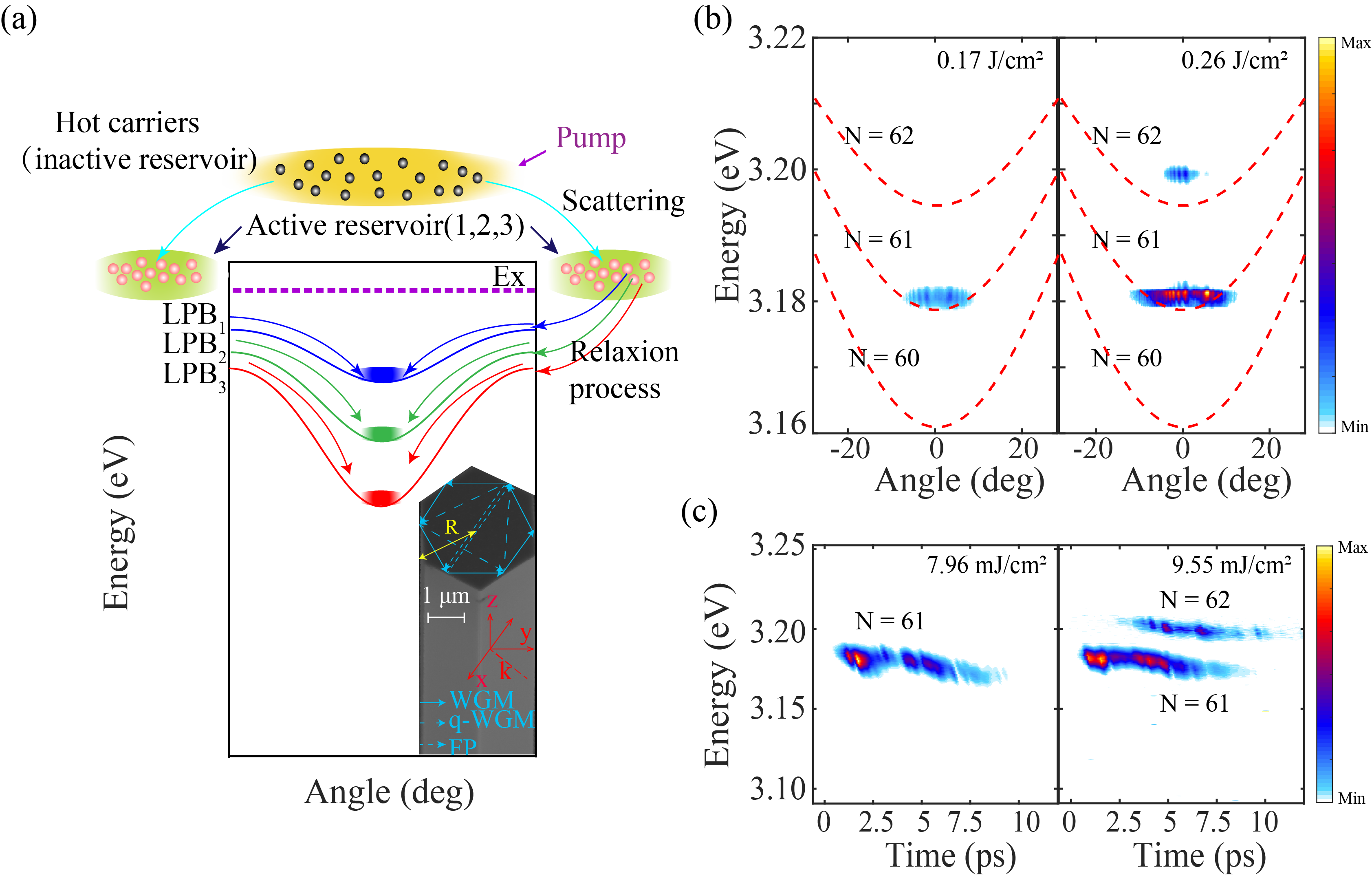 室温激子极化激元凝聚体超快调控