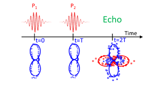 分子转动回声时空成像