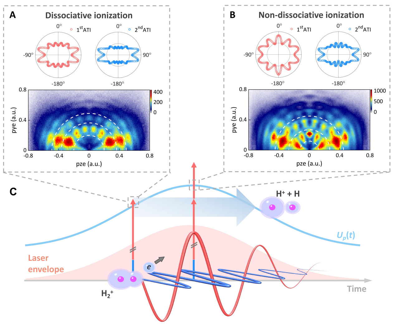 解析分子多光子过程的阿秒电子分波