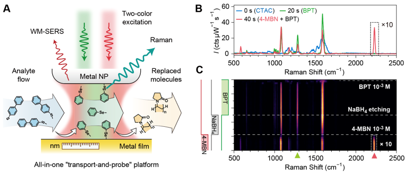 亚2纳米等离激元通道分子输运的...
