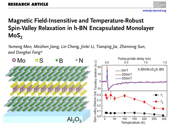 h-BN封装的单层MoS2 中磁场不敏感且温度稳健的自旋-谷弛豫
