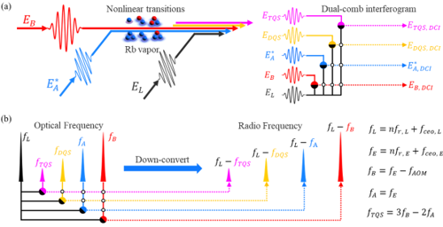 双光梳二维相干光谱解耦铷原子超...