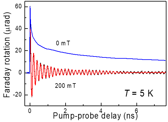 单层MoS2二维半导体的局域电子自旋相干动力学