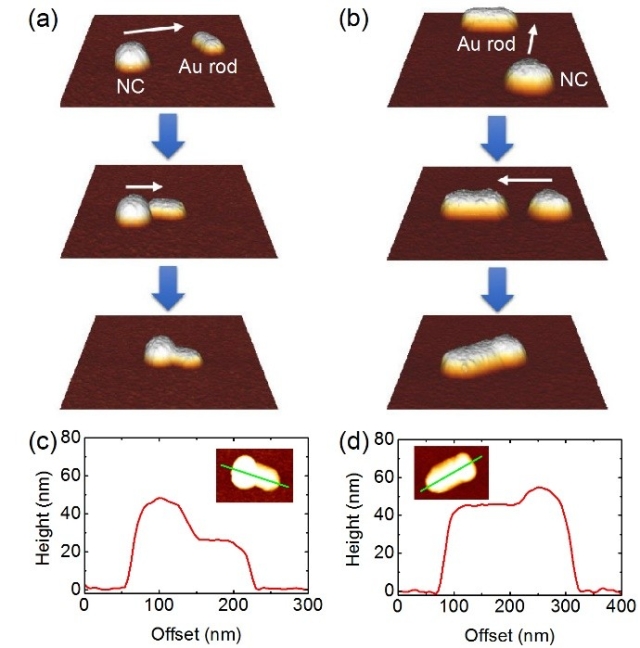 调控单一金纳米棒等离子共振增强单个稀土纳米晶上转换发光研究