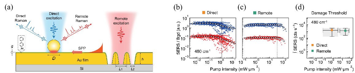 远程激发在等离激元传感中的定量评估及信噪比提升