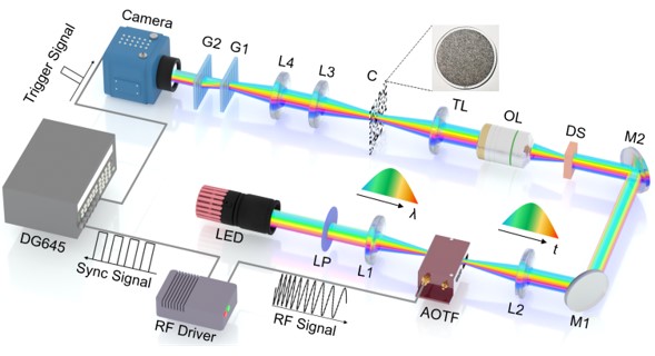 基于声光频率扫描的压缩超高速成像